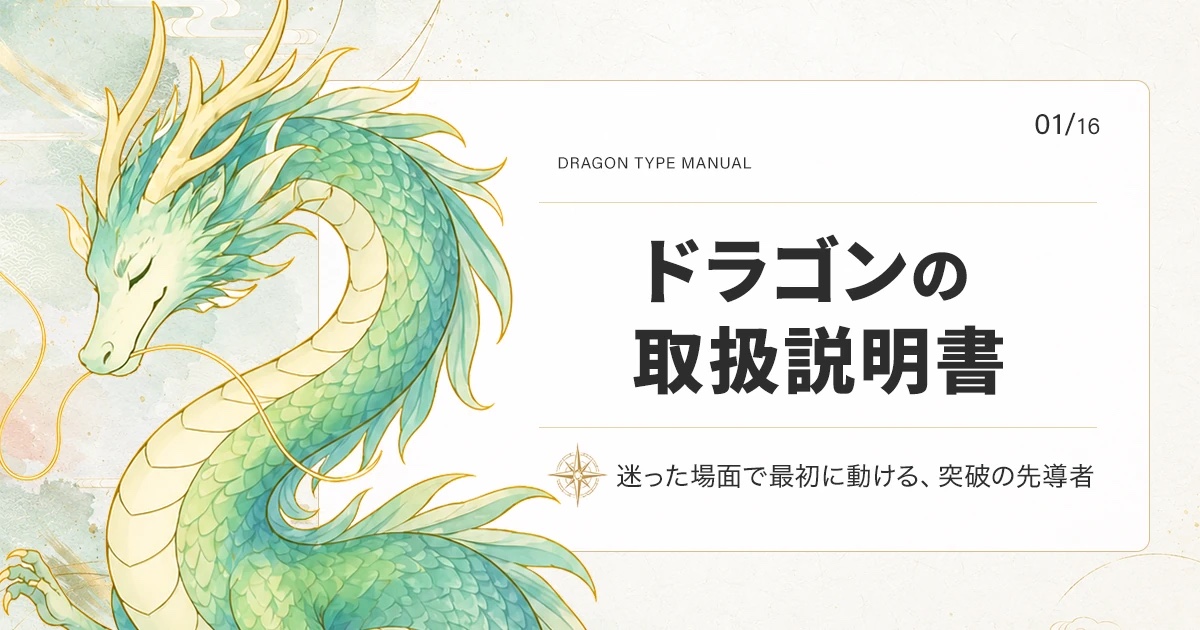 ドラゴンタイプの取扱説明書