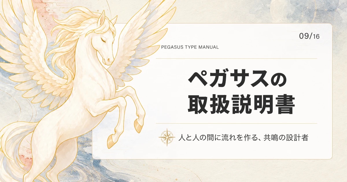 ペガサスタイプの取扱説明書