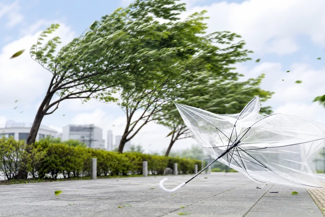 台風の名前、どうやって決まる？
