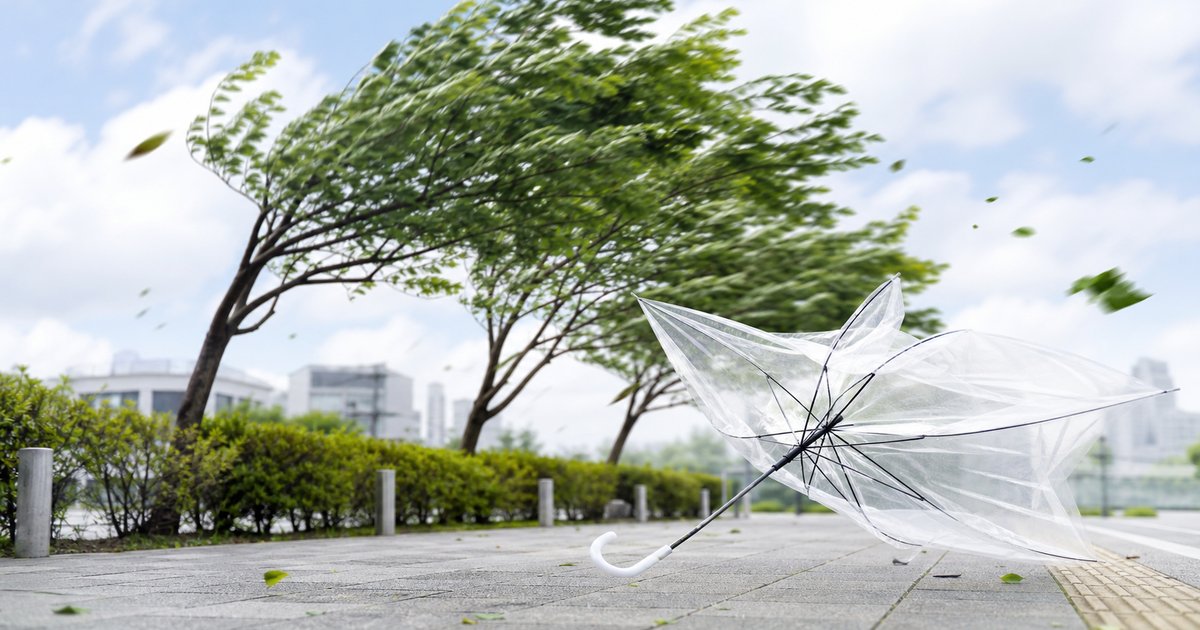 台風の名前、どうやって決まる？
