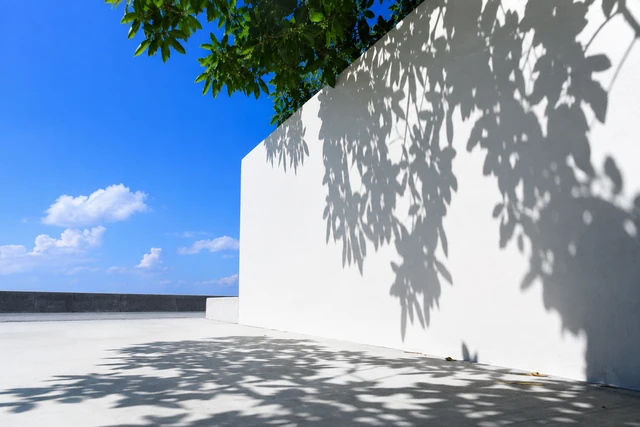 夏至の日、太陽がいちばん高くなる時刻は？