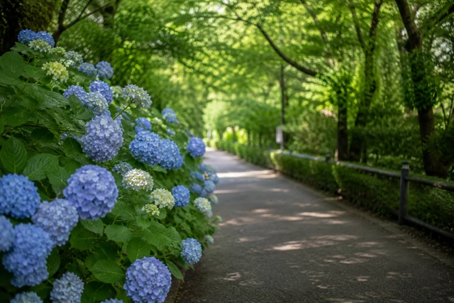 6月に祝日がない理由──暦と暮らしの小さなふしぎ