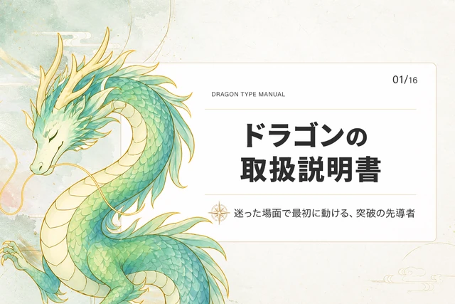 ドラゴンタイプの取扱説明書